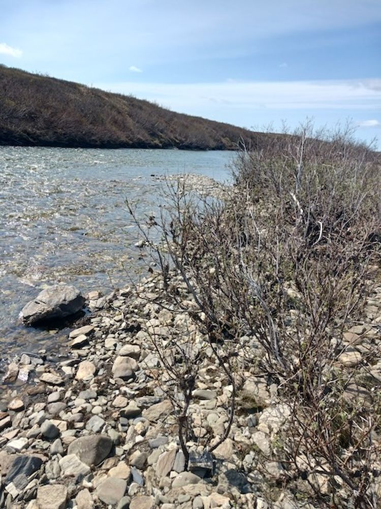 Downstream Solomon River (1)