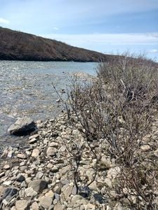 Downstream Solomon River (1)