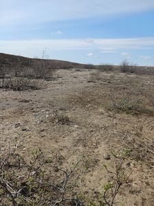 Open area along Solomon River (1)