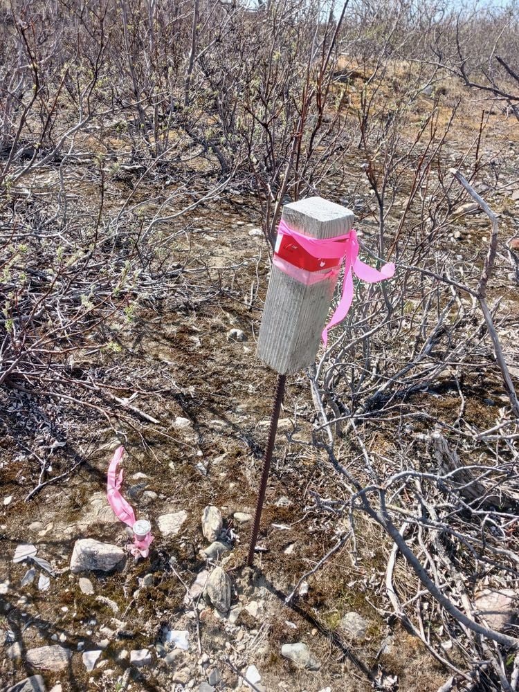 Resized_20250607_132325