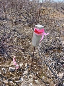 Resized_20250607_132325