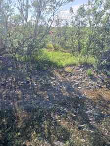 Resized_20250703_111238