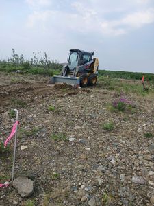 Resized_20250705_133559