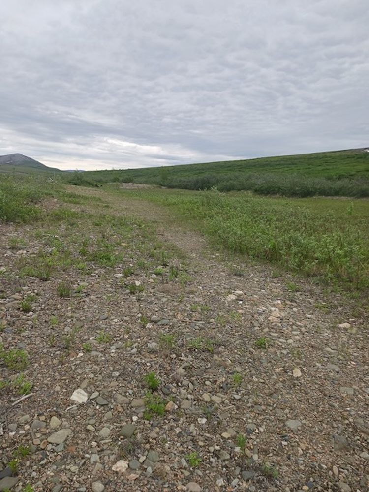 SW Corner looking north (1)