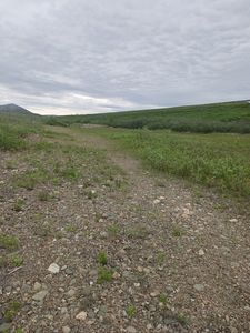 SW Corner looking north (1)