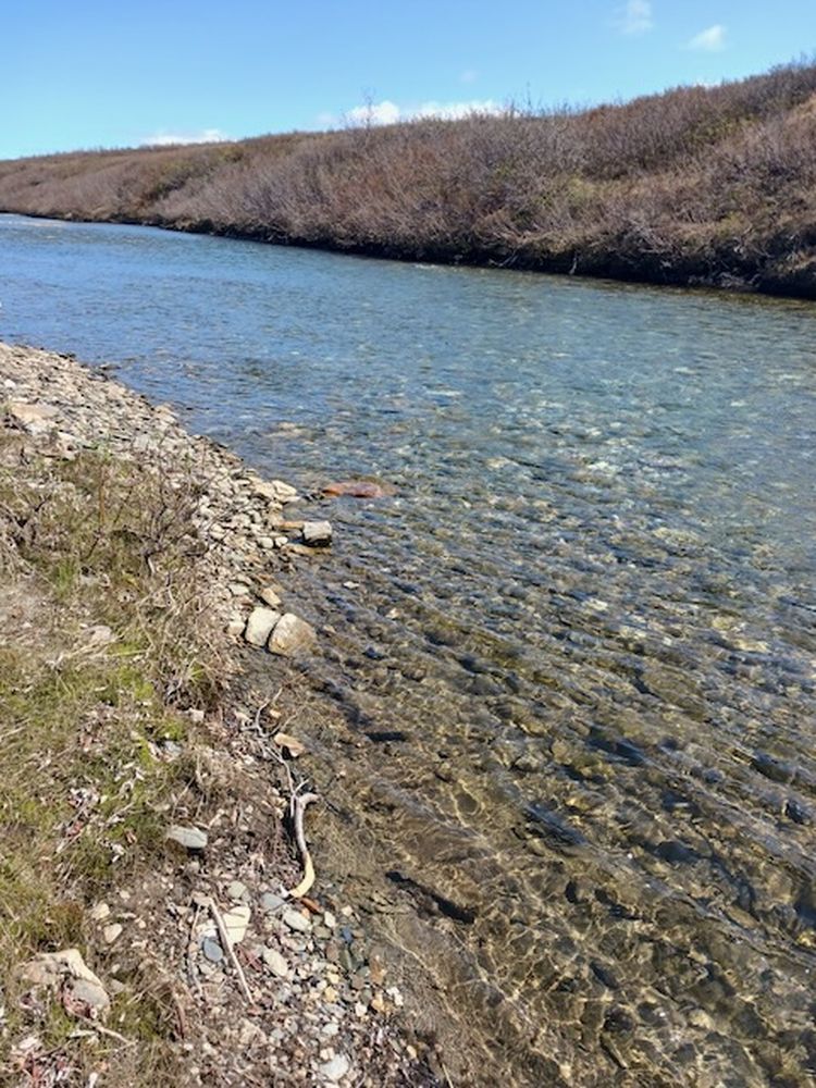 Upstream pictures (1)