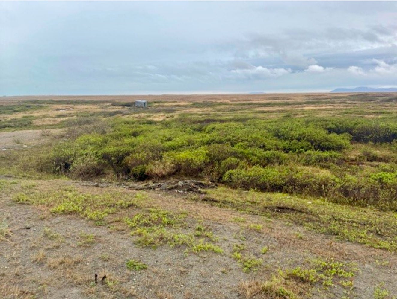 Screenshot 2026-03-31 at 3.52.42 PM