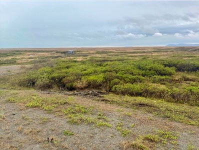 Screenshot 2026-03-31 at 3.52.42 PM