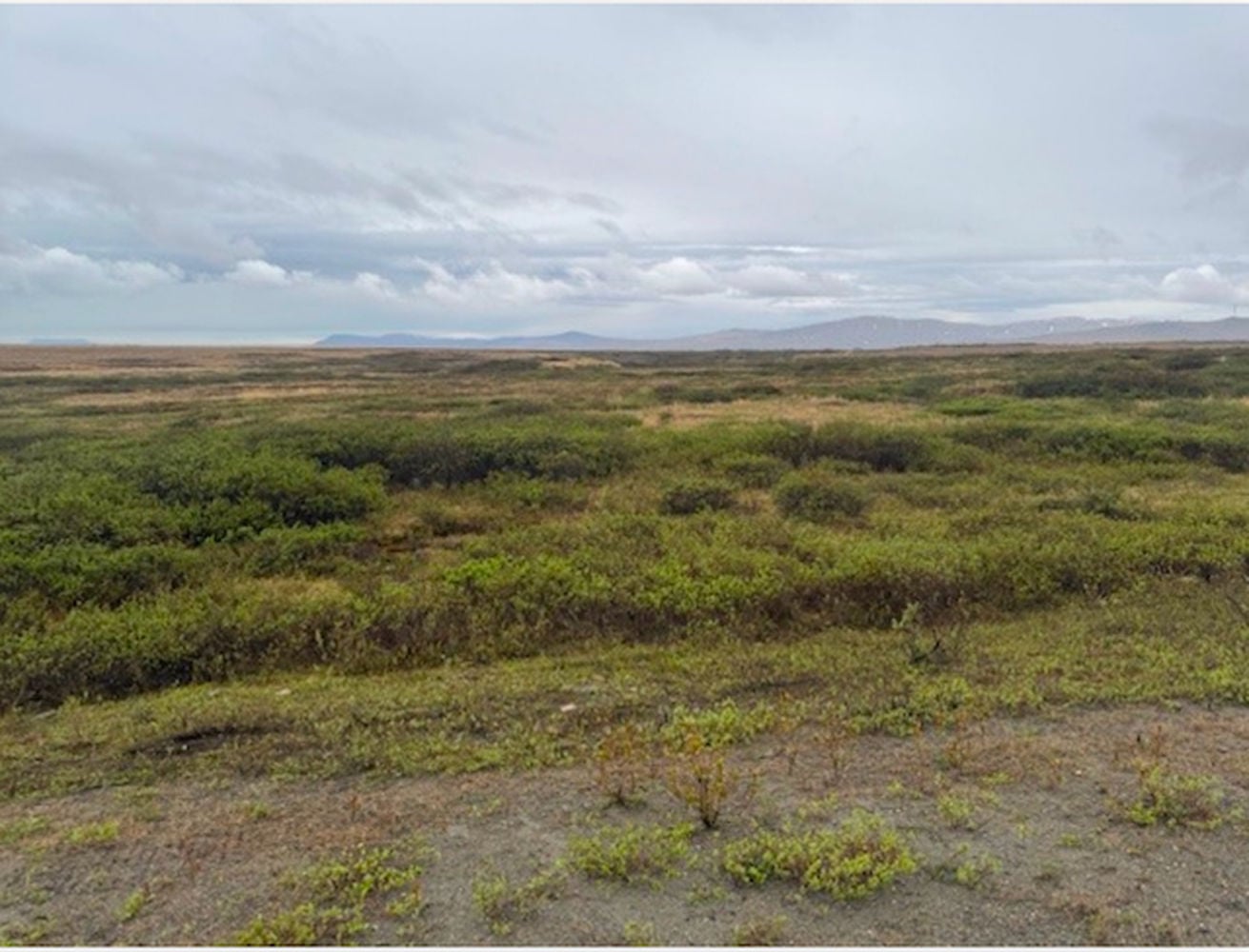 Screenshot 2026-03-31 at 3.53.00 PM