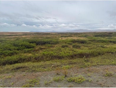 Screenshot 2026-03-31 at 3.53.00 PM