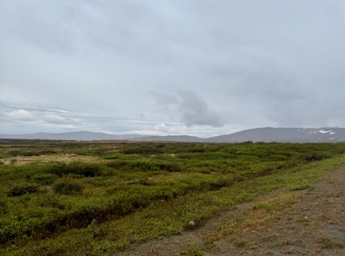 Screenshot 2026-03-31 at 3.53.27 PM