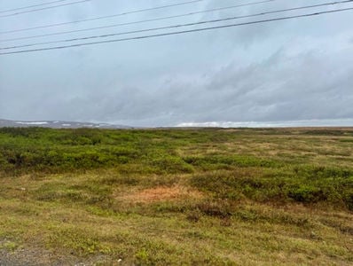 Screenshot 2026-03-31 at 3.53.59 PM