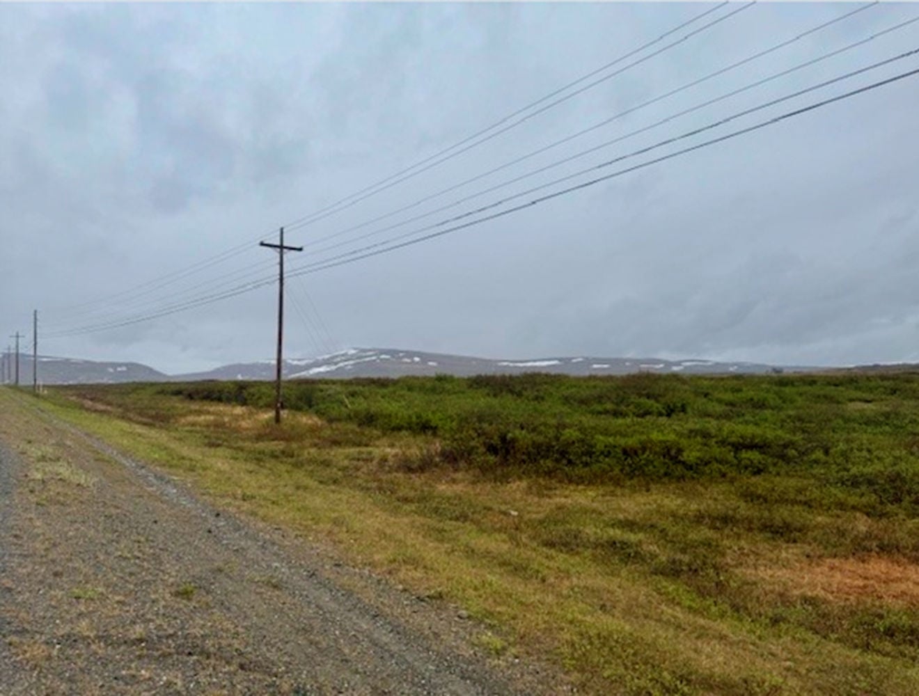 Screenshot 2026-03-31 at 3.54.13 PM