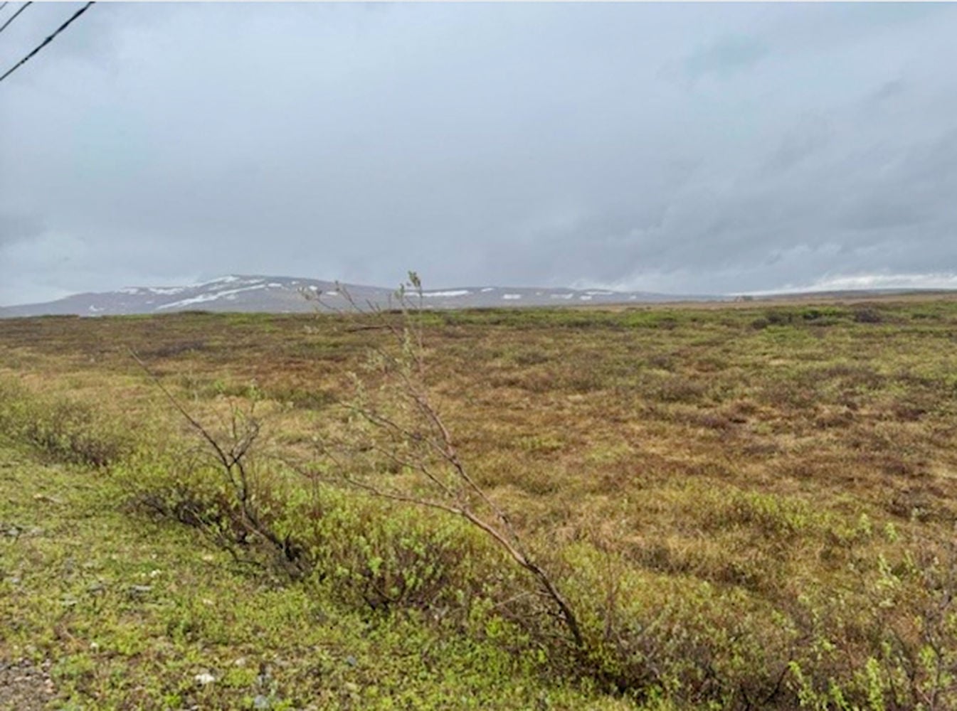 Screenshot 2026-03-31 at 3.54.58 PM