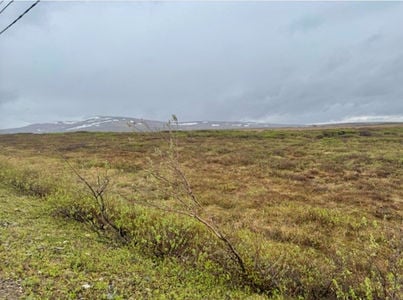 Screenshot 2026-03-31 at 3.54.58 PM