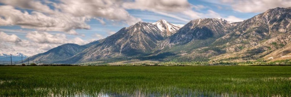 Carson Valley Real Estate Market 2019