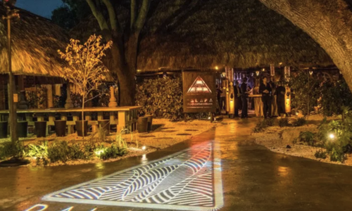Discovering Upper Buena Vista: Miami’s Hidden Gem of …
