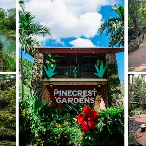 Insider Insight: Pinecrest Gardens – Miami’s Whimsical Summer Escape