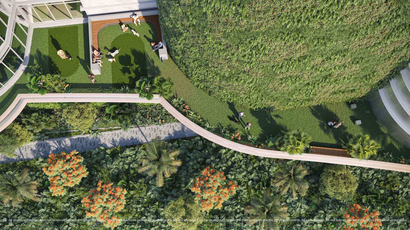 99 Pet Area Look Down_OPT-01-min