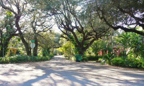 El Portal Hidden Village: Historic Homes, Quiet Streets & Rare …