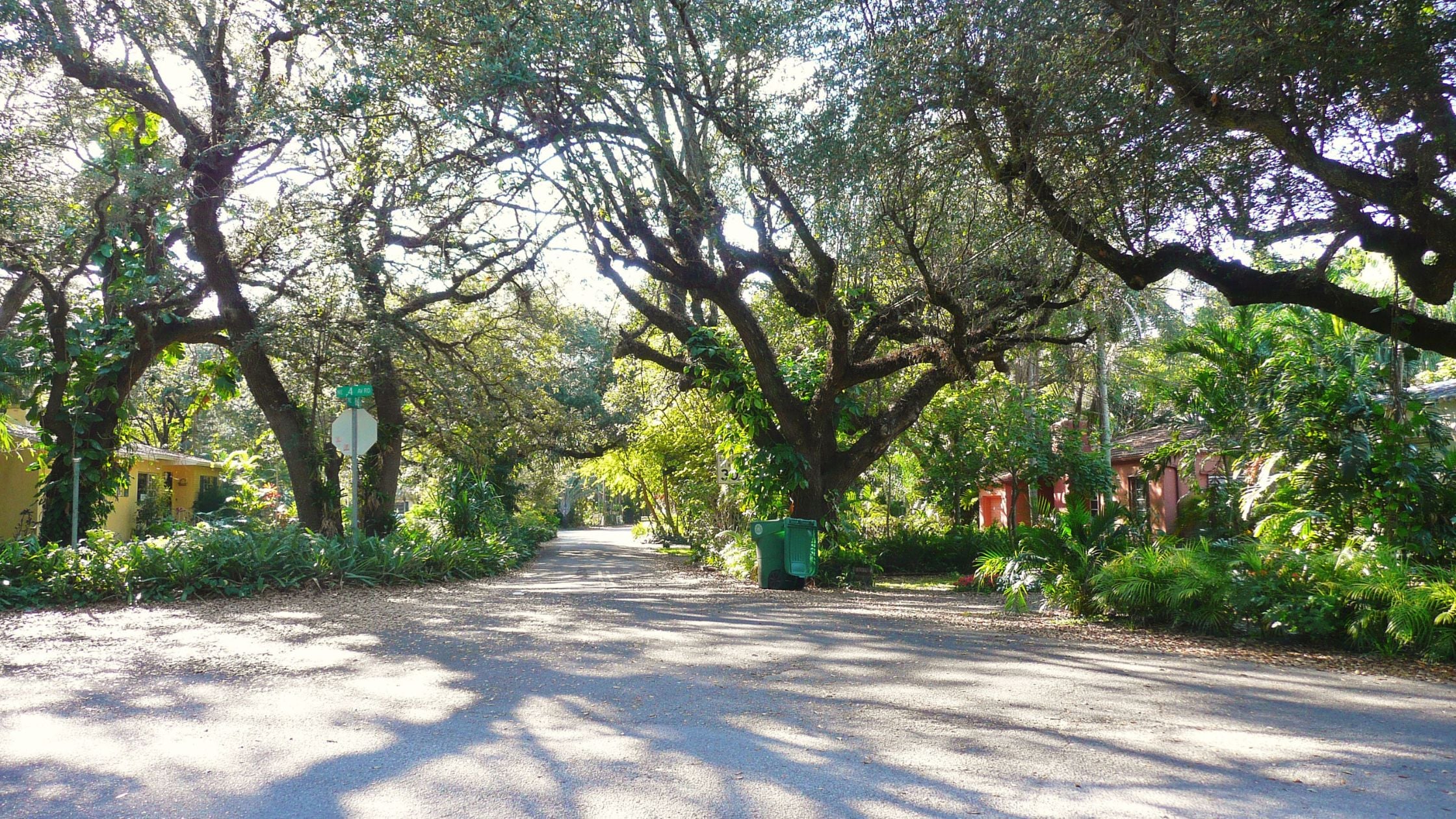 El Portal Miami residential street oak trees