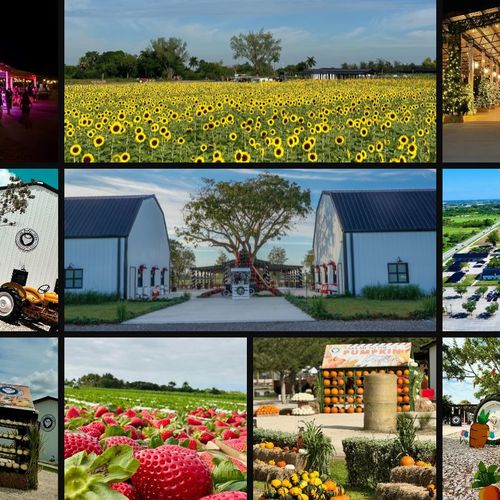 Insider Insight: The Berry Farm A Wintertime Family Escape in South Miami