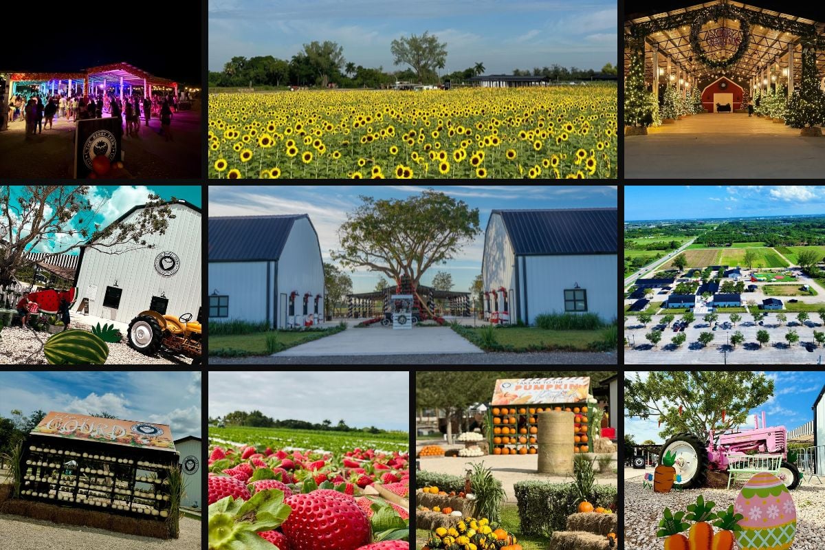 The Berry Farm - Featured