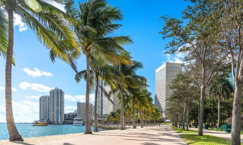 Top Rated Areas in Miami for Dining and &hellip;