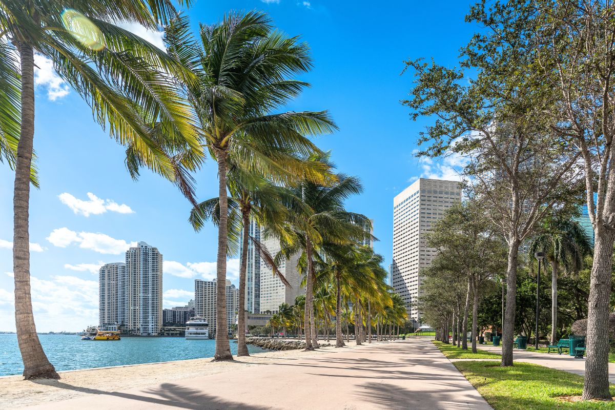 Brickell Key Park at daytime