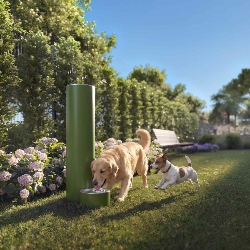 EXTRA_DOGGIE_PARK_R02