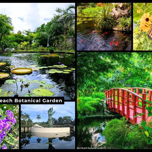 Insider Insight: Miami Beach Botanical Garden in Miami Beach