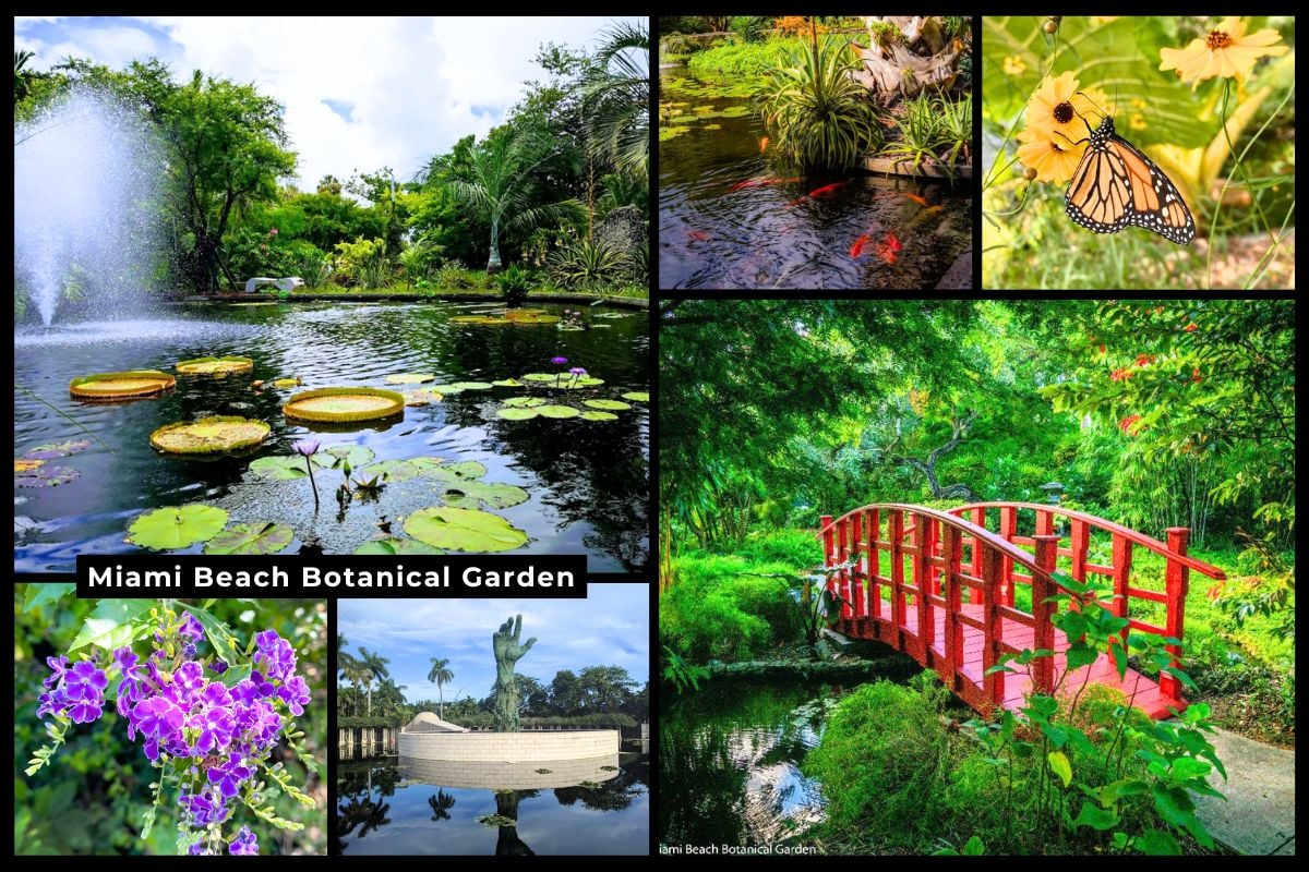 Miami Beach Botanical Garden - Featured