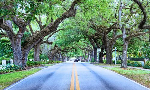 Living in Coral Gables, Miami: A Real Estate &hellip;