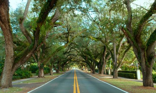 Selling a Home in The Roads Miami: A 2026 Seller's &hellip;