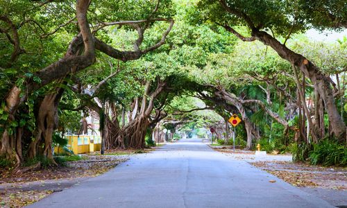 Selling a Home in El Portal in 2026: The Sub-Mile &hellip;