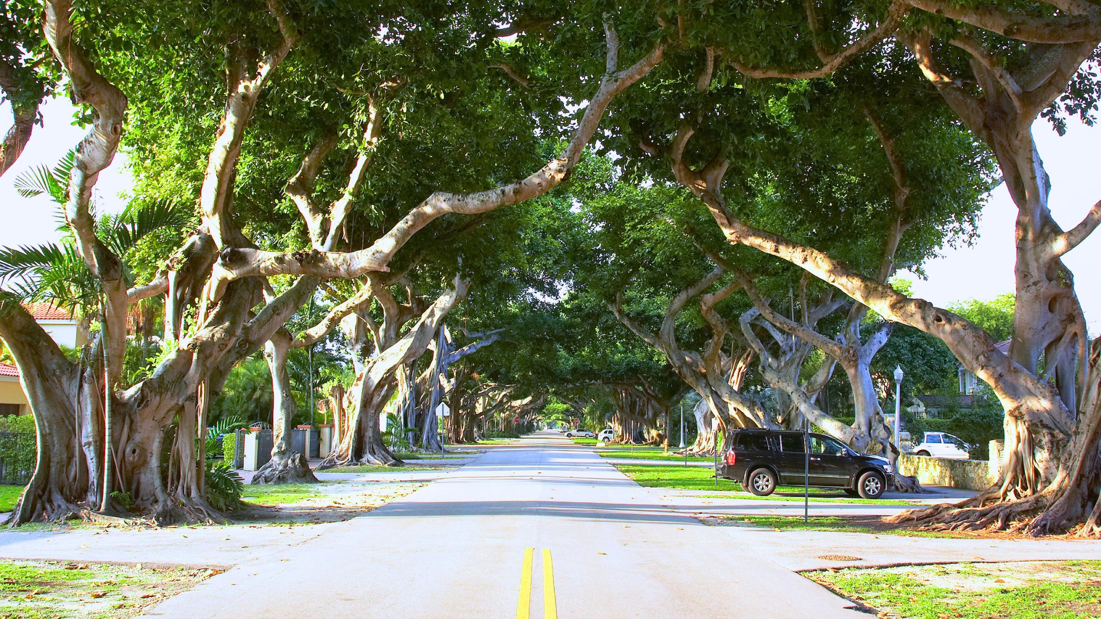 Pinecrest Miami estate home with For Sale sign on a tree-lined one-acre residential lot.