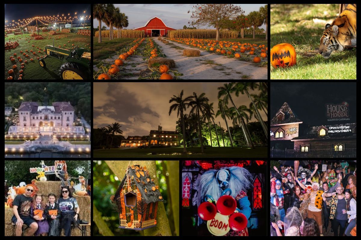 New Around Town Photo Template