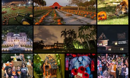 Halloween Events in Miami: From Haunted Mazes to Wynwood Block …