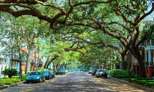 Living in El Portal, Miami: Inside the Half-Square-Mile Bird Sanctuary &hellip;