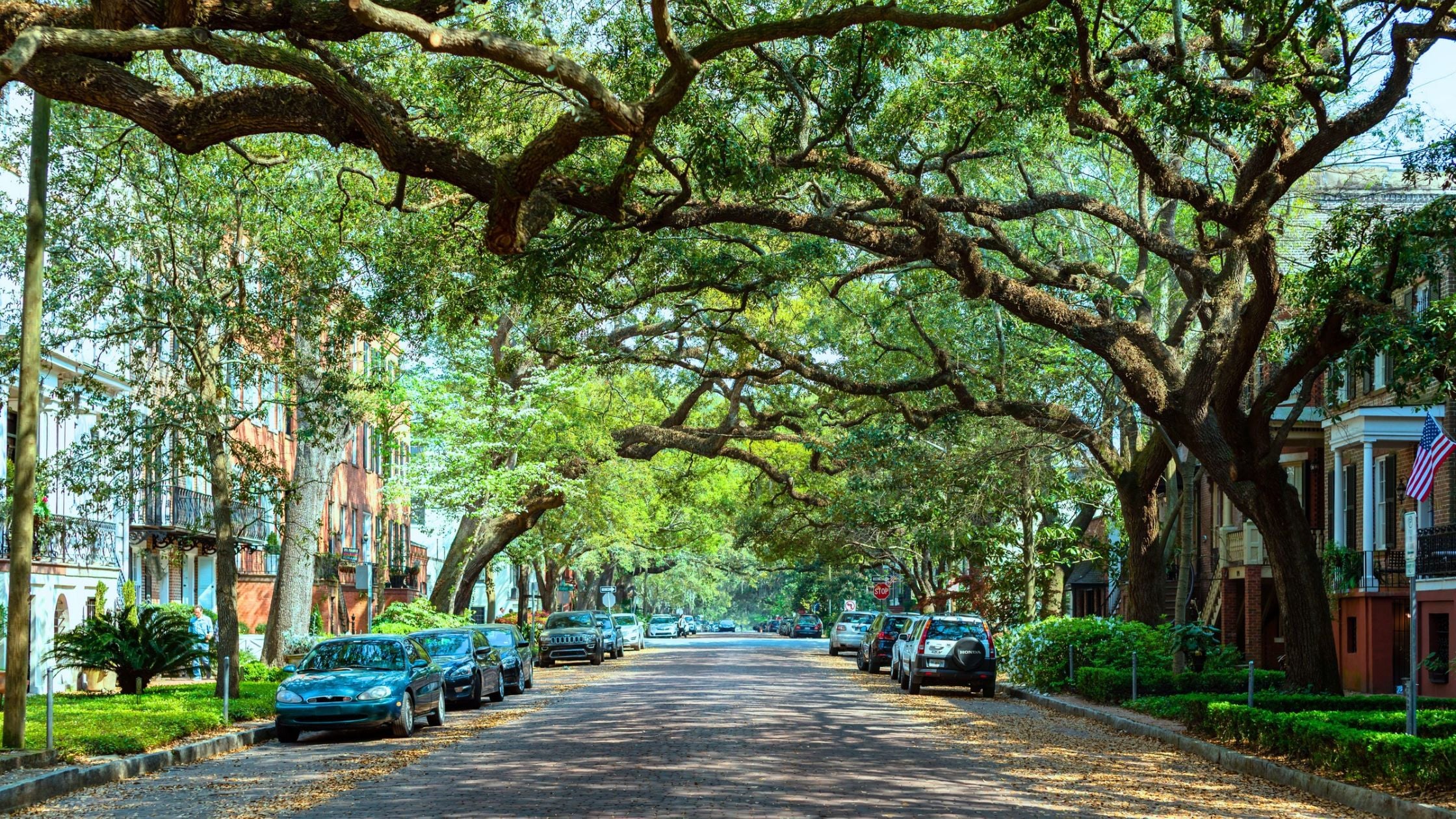 Mature live oak and tropical tree canopy arching over a residential street in El Portal, Miami, the village's defining visual as a Florida-designated bird sanctuary.