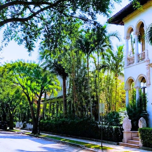 Shenandoah vs Silver Bluff vs The Roads: Which Miami Neighborhood Fits You?