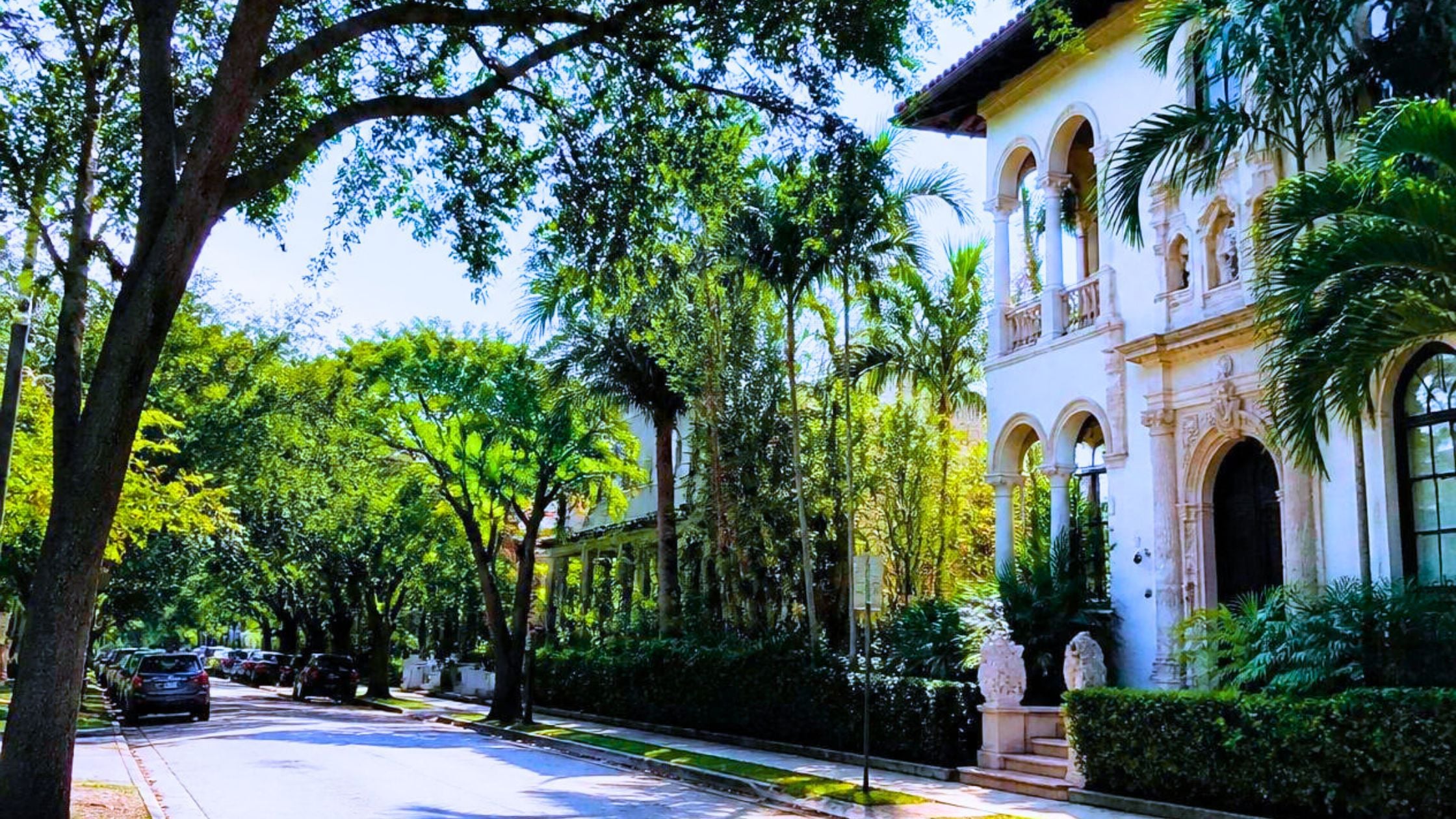 Tree-lined historic residential street in central Miami, representing the Shenandoah vs Silver Bluff vs The Roads comparison.