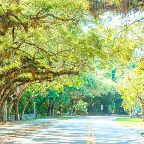 Living in Silver Bluff Miami in 2026: The Quiet Half-Square-Mile Between Brickell and the Grove