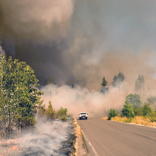 Emergency Preparedness Hits Home