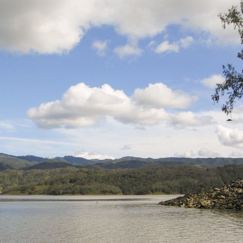 A Science-based Approach to Water, Wildlife and Our Economy