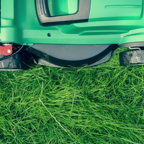 Spring Cleaning and Home Maintenance