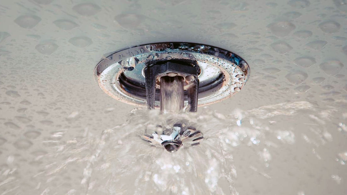 sprinkler.1200x627