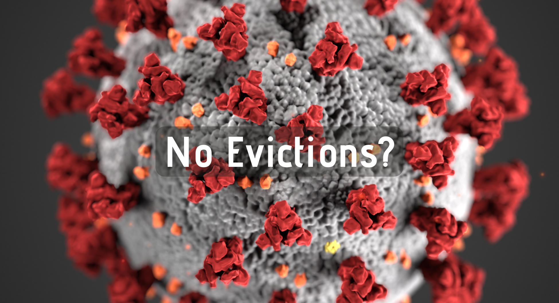 No Evictions_