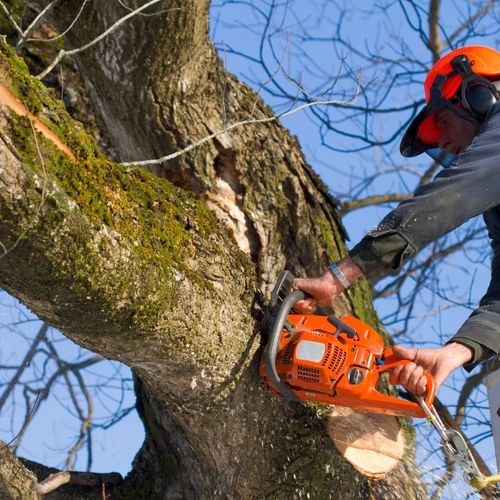 Annual Home Safety Audit Part III: Fire-Safe Landscaping