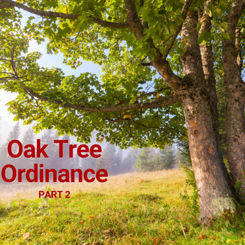Proposed Oak Tree Ordinance Makes No Sense – Part II